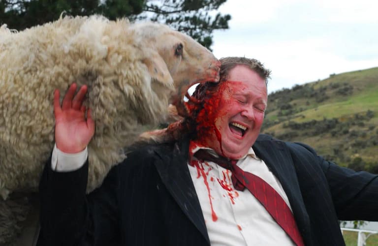 oveja de black sheep atacando