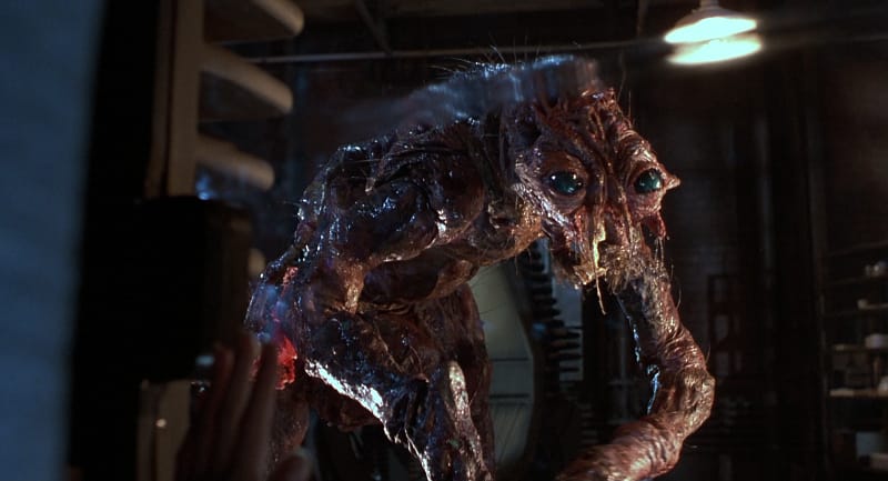 imagen del mounstruo de la mosca de cronenberg